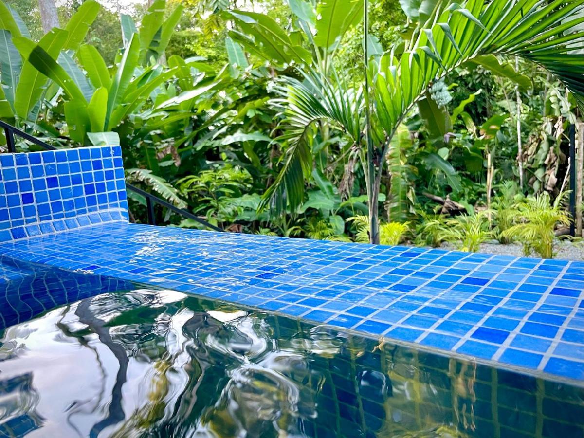 Villa Joeyshe- New Luxury Villa With Pool & Ac Puerto Viejo de Talamanca Extérieur photo